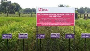 biodiversity
