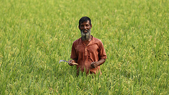 making-quality-seeds